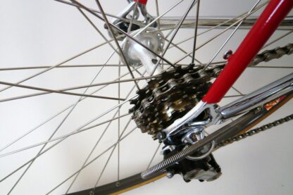 Grandis Baldi Special Bedizzole - Image 34