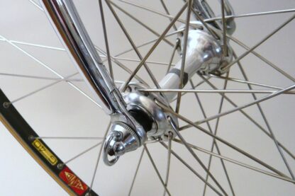Grandis Baldi Special Bedizzole - Image 35
