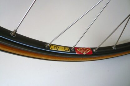 Grandis Baldi Special Bedizzole - Image 36