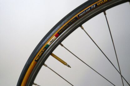 Grandis Baldi Special Bedizzole - Image 37