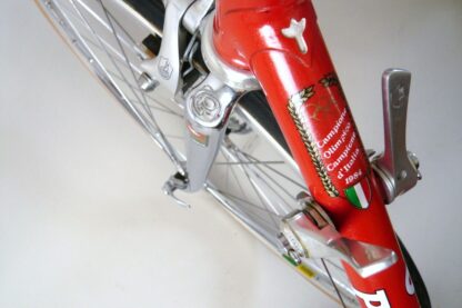 Pinarello Treviso - Image 12
