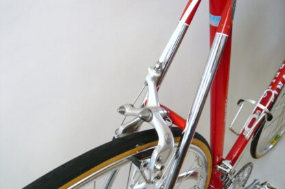 Pinarello Treviso - Image 15
