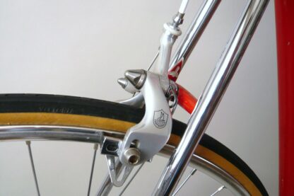 Pinarello Treviso - Image 16