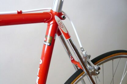 Pinarello Treviso - Image 17