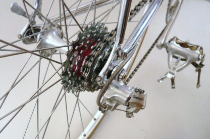 Pinarello Treviso - Image 23