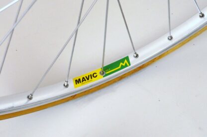 Pinarello Treviso - Image 25