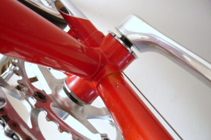 Pinarello Treviso - Image 27