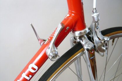 Pinarello Treviso - Image 5