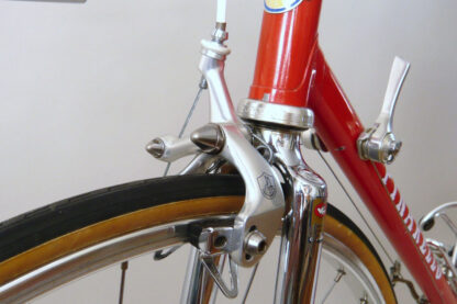 Pinarello Treviso - Image 7