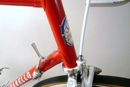 Pinarello Treviso - Image 9