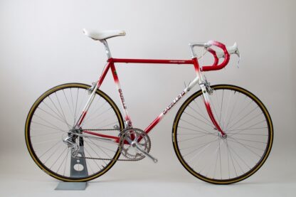 Gazelle Champion Mondial