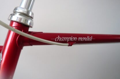 Gazelle Champion Mondial AB