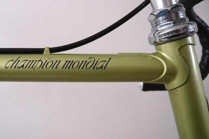 Gazelle Champion Mondial AA-Frame Campagnolo Record Size 60 ct - Image 8