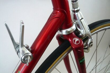 Gazelle AA-Super Campagnolo C-Record