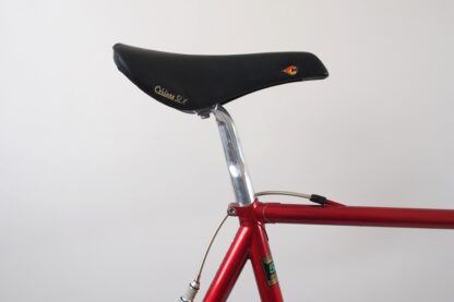 Gazelle AA-Super Campagnolo C-Record