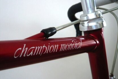 Gazelle AA-Super Campagnolo C-Record