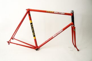 Team Raleigh Professional Frameset