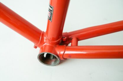 Team Raleigh Frameset