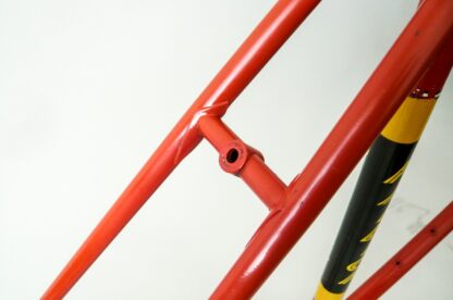 Team Raleigh Frameset