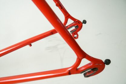 Team Raleigh Frameset