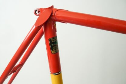 Team Raleigh Frameset