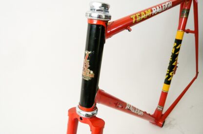 Team Raleigh Frameset