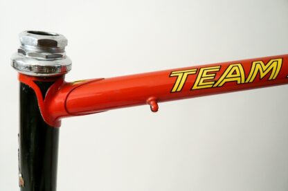 Team Raleigh Frameset