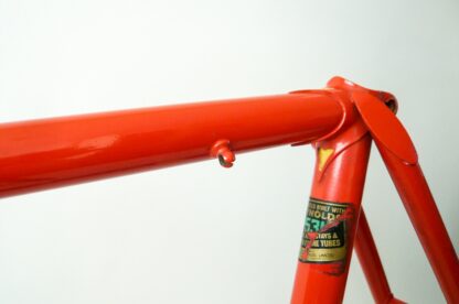 Team Raleigh Frameset