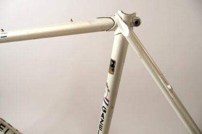 Gazelle Champion Mondial