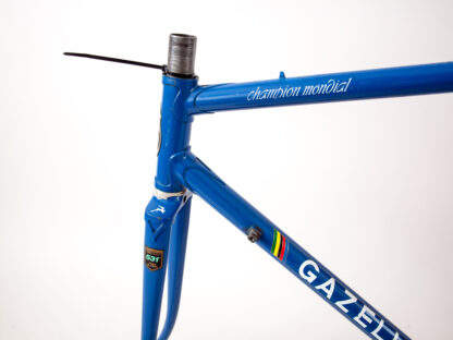 gazelle champion mondial ab frame