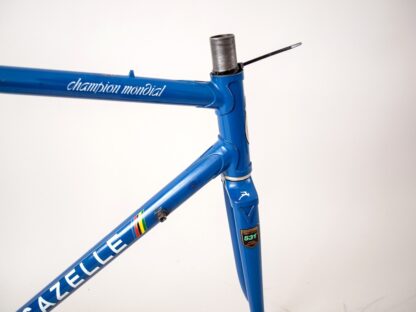 gazelle champion mondial ab frame