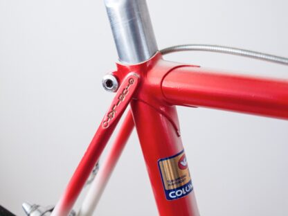 Giubilato Campagnolo Victory