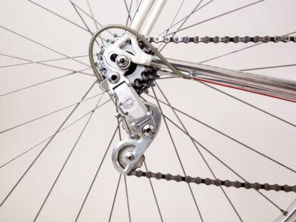 Giubilato Campagnolo