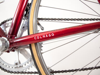 colnago super saronni