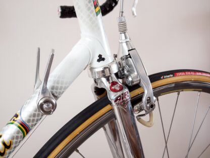 tommasini super prestige croce d'aune