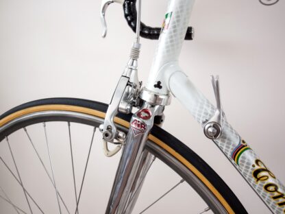 tommasini super prestige croce d'aune