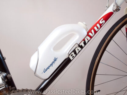 Batavus Professional Team AMEV Campagnolo C-Record