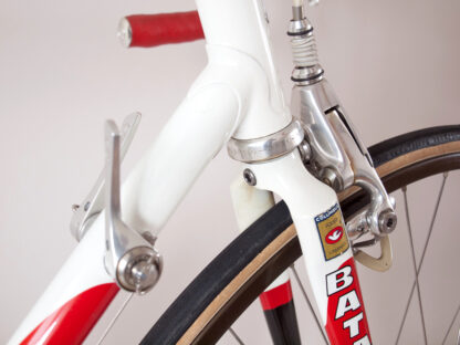 Batavus Professional Team AMEV Campagnolo C-Record