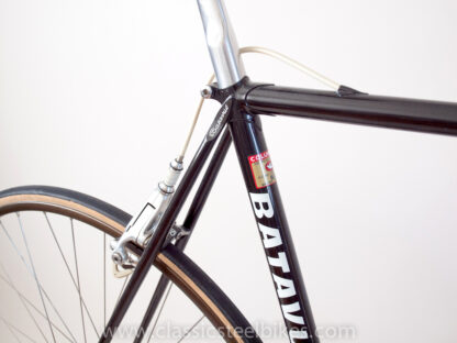 Batavus Professional Team AMEV Campagnolo C-Record