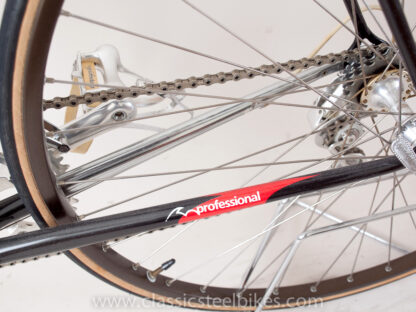 Batavus Professional Team AMEV Campagnolo C-Record