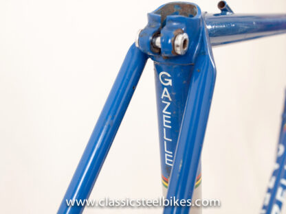 Gazelle Champion Mondial AA-Special Frame