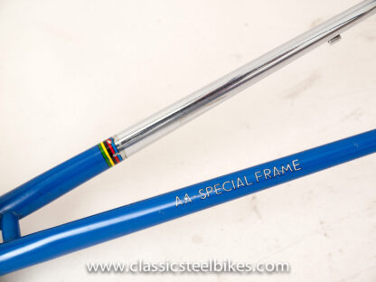 Gazelle Champion Mondial AA-Special Frame