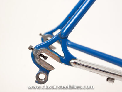 Gazelle Champion Mondial AA-Special Frame