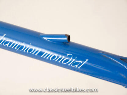 Gazelle Champion Mondial AA-Special Frame