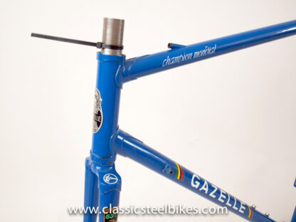 Gazelle Champion Mondial AA-Special Frame