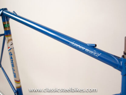 Gazelle Champion Mondial AA-Special Frame