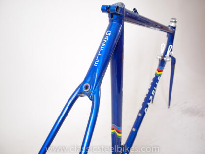 Gazelle Champion Mondial AA-Super Frame Size 55ct