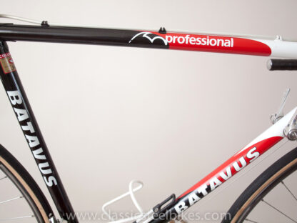 Batavus Professional SLX Size 54 ct