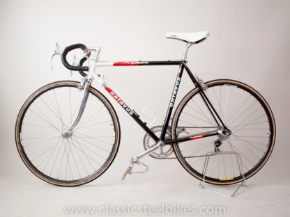 Batavus Professional SLX Size 54 ct