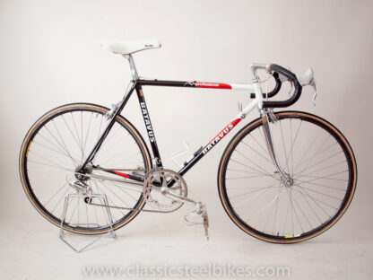 Batavus Professional SLX Size 54 ct